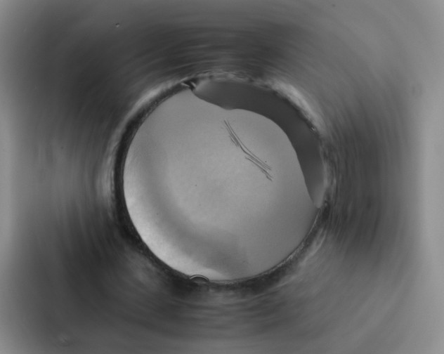 X0000086940531200705141804