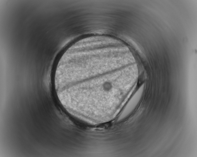 X0000086940532200705141804