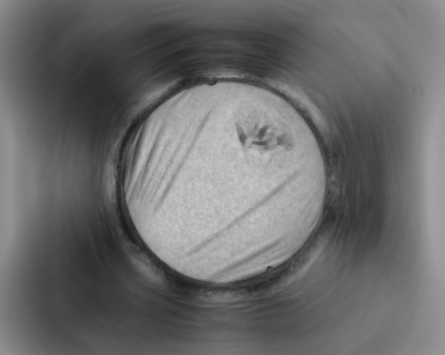 X0000086940533200705141804