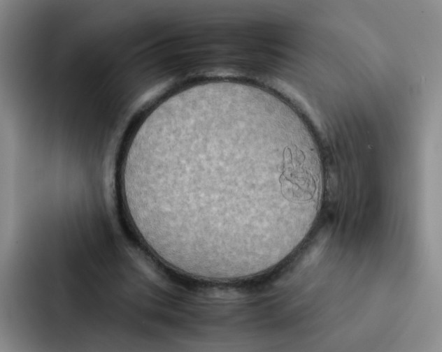 X0000086940535200705141804
