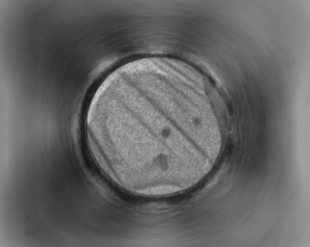 X0000086940536200705141804