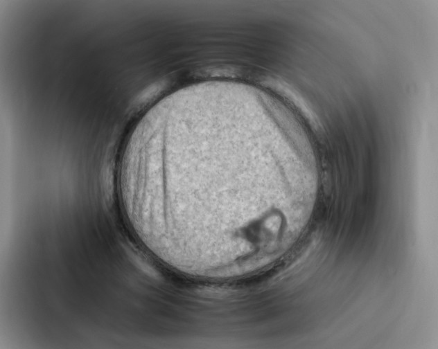 X0000086940537200705141804