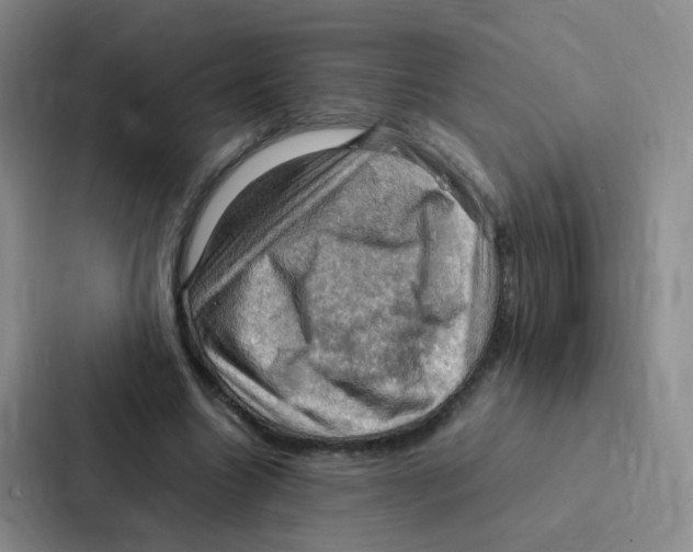 X0000086940538200705141804