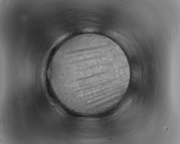 X0000086940539200705141804