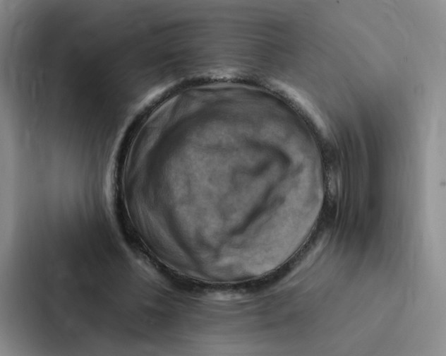 X0000086940540200705141804