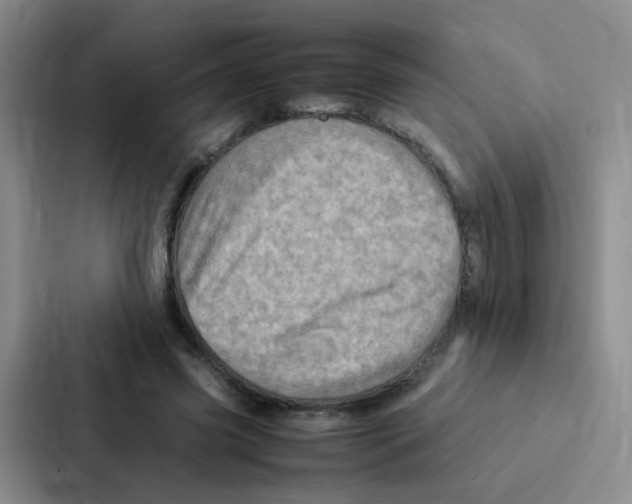X0000086940541200705141804