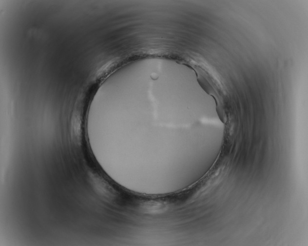 X0000086940542200705141804