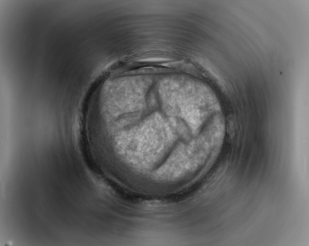X0000086940544200705141804