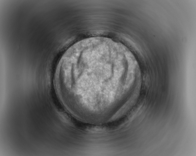X0000086940546200705141804