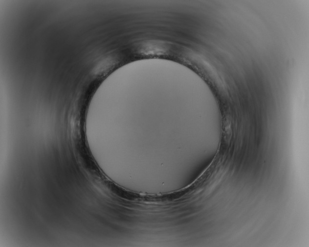 X0000086940547200705141804