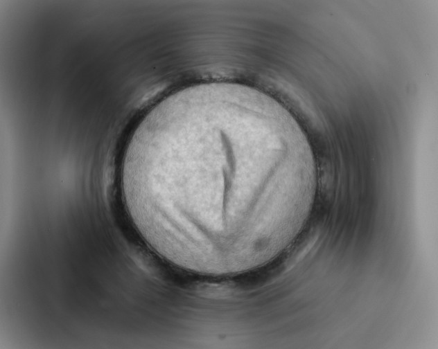 X0000086940548200705141804