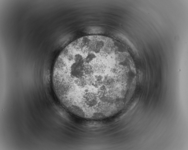 X0000086940549200705141804