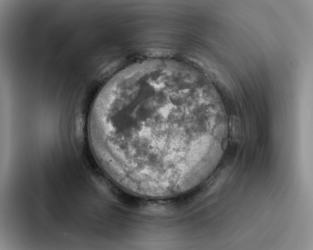 X0000086940550200705141804