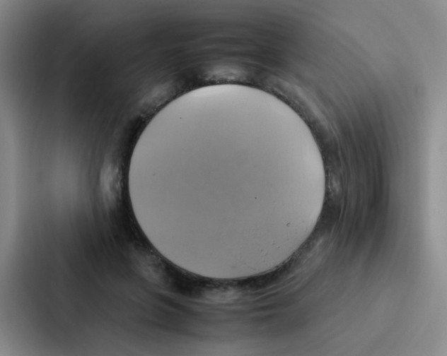 X0000086940551200705141804