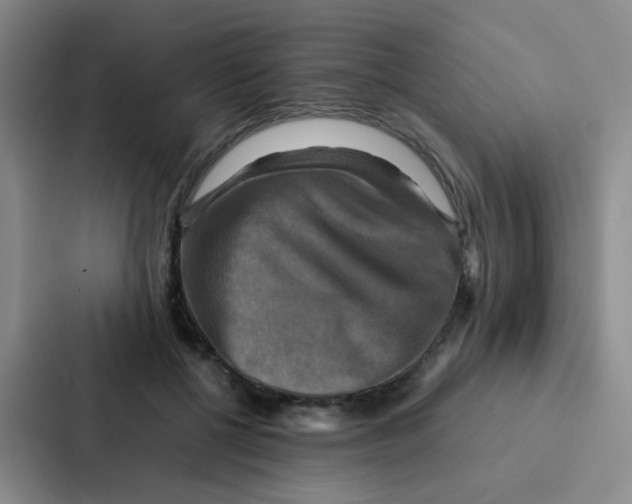 X0000086940552200705141804