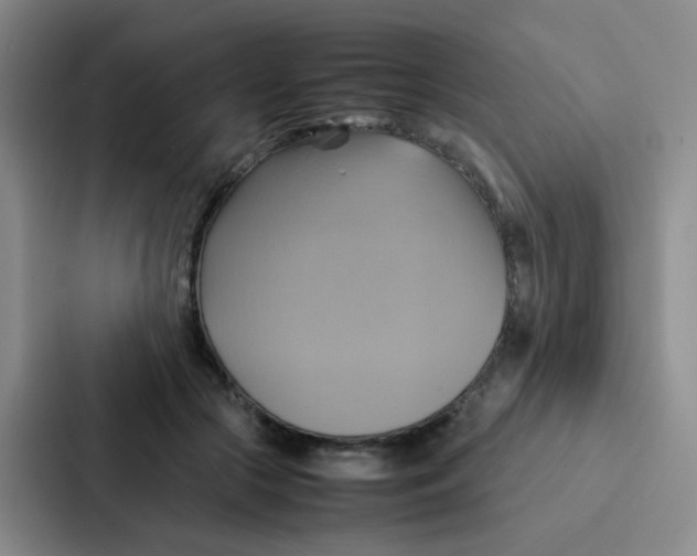 X0000086940553200705141804