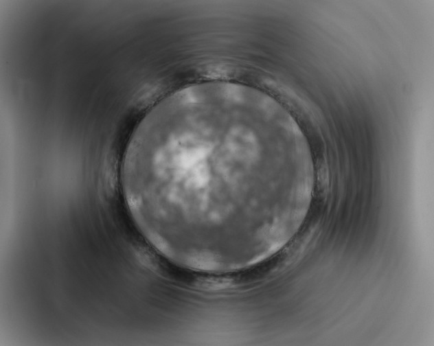X0000086940554200705141804