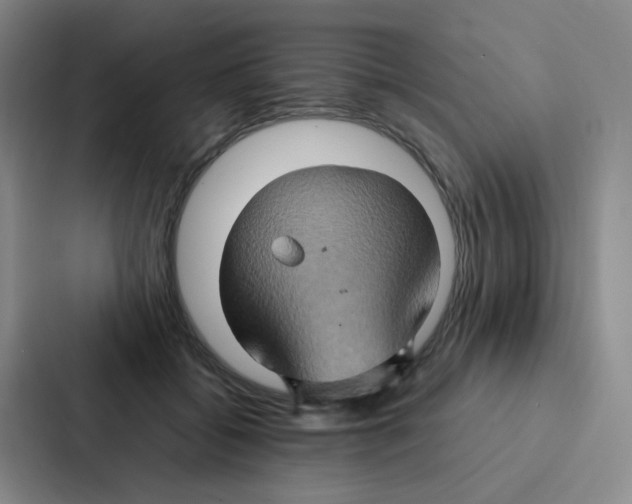 X0000086940556200705141804