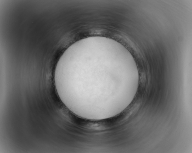 X0000086940557200705141804