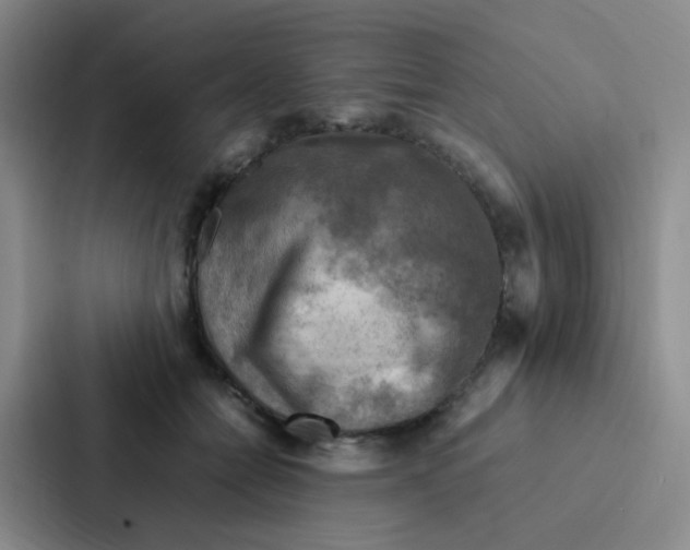 X0000086940558200705141804