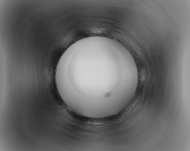 X0000086940559200705141804