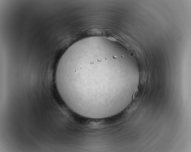 X0000086940560200705141804