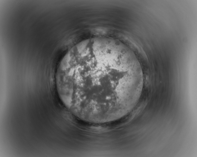 X0000086940561200705141804