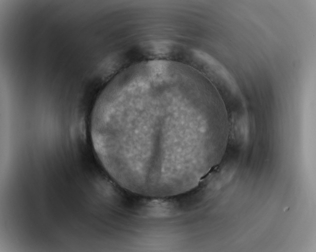 X0000086940562200705141804