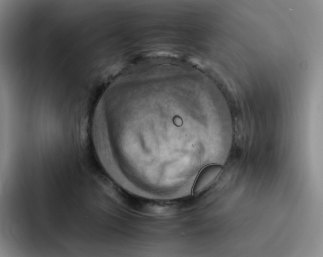 X0000086940563200705141804