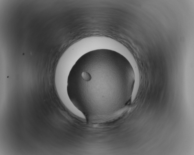 X0000086940564200705141804