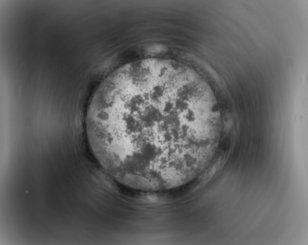 X0000086940565200705141804