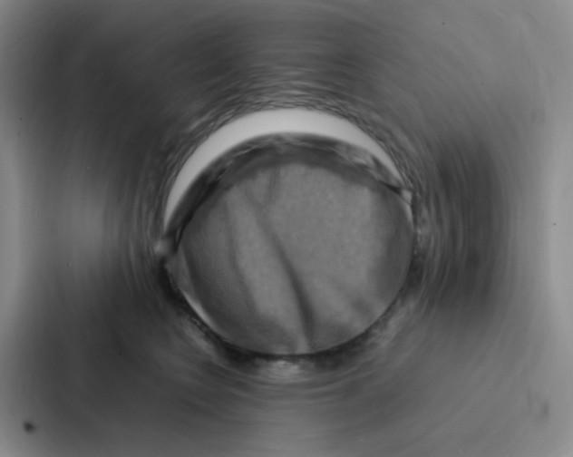 X0000086940566200705141804