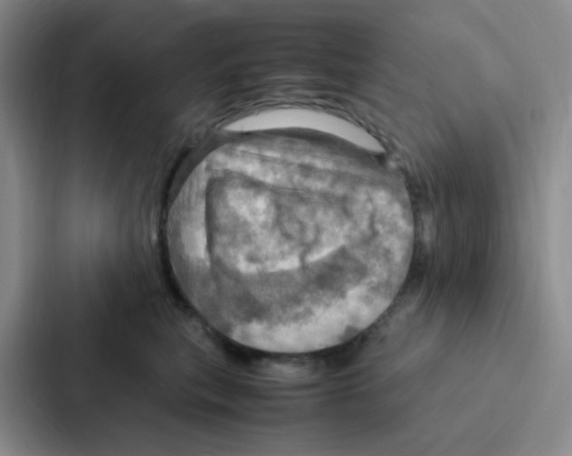 X0000086940567200705141804