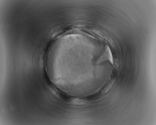 X0000086940568200705141804