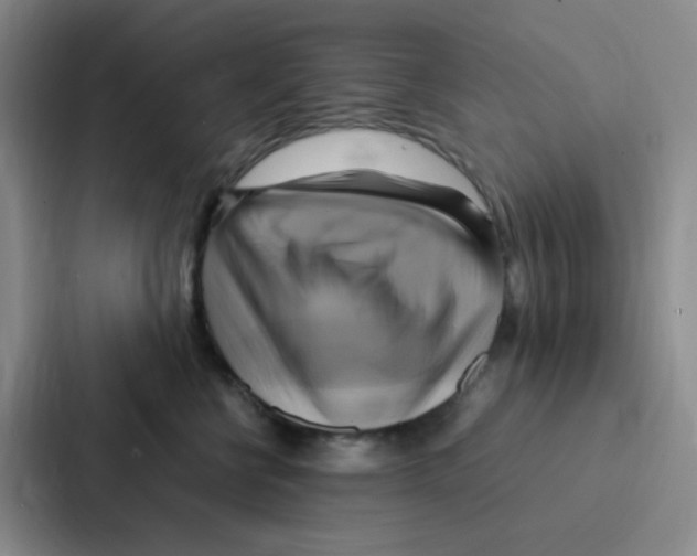 X0000086940570200705141804