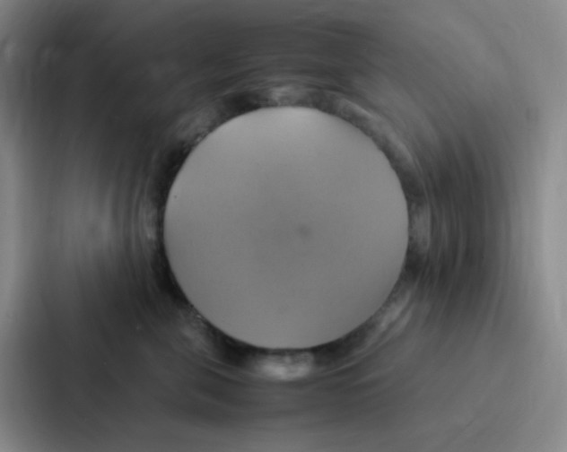 X0000086940571200705141804