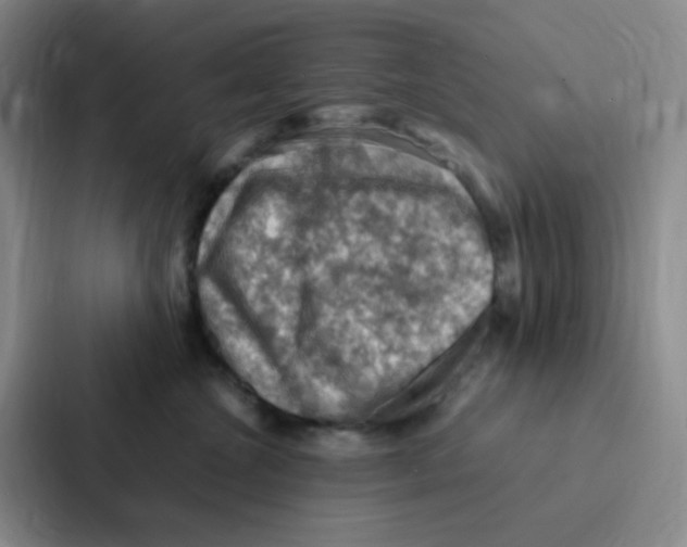 X0000086940572200705141804
