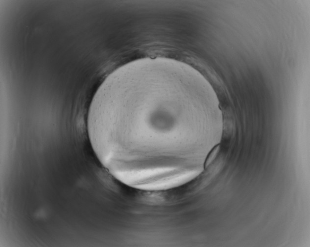 X0000086940573200705141804
