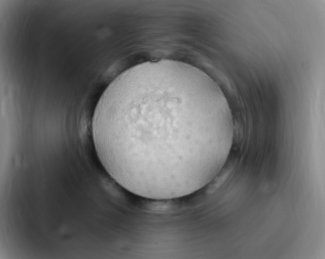 X0000086940574200705141804