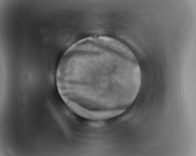 X0000086940576200705141804
