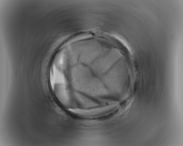 X0000086940577200705141804