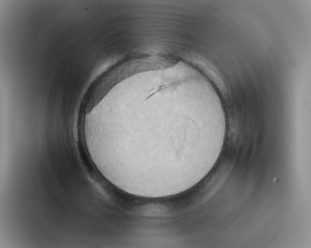 X0000086940578200705141804