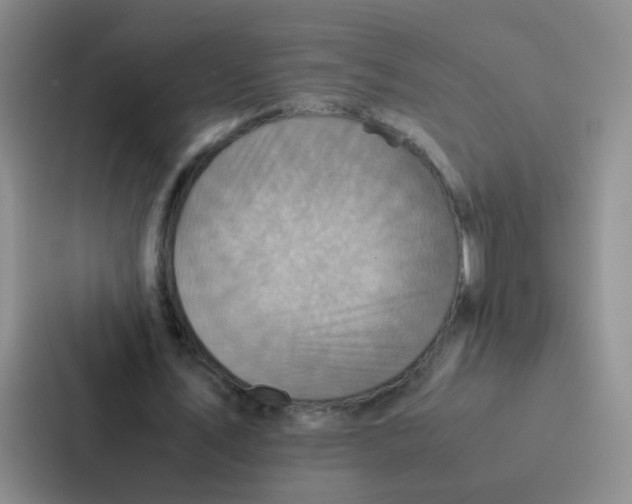 X0000086940579200705141804