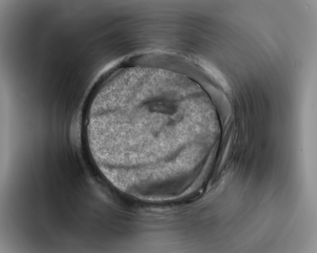 X0000086940580200705141804