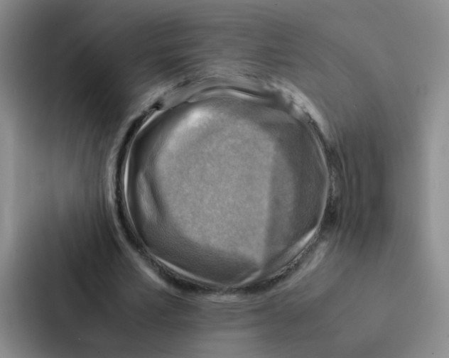 X0000086940581200705141804