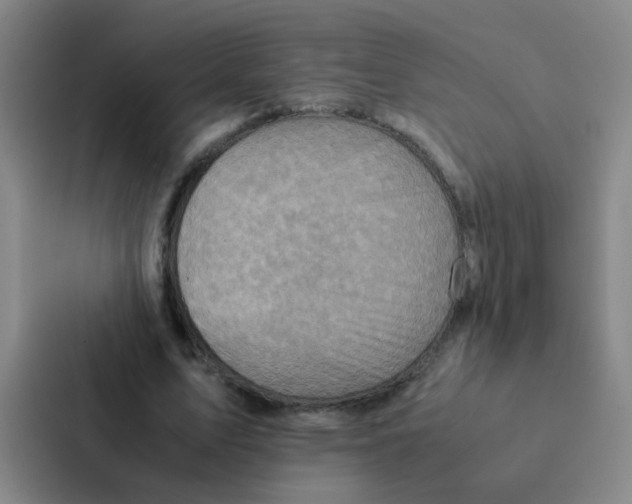 X0000086940583200705141804