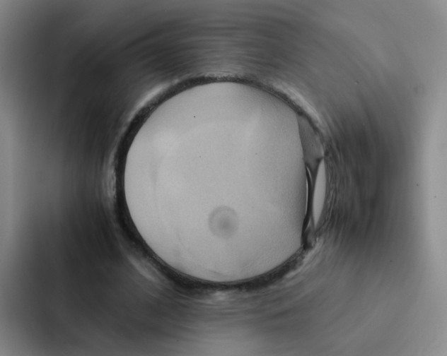X0000086940584200705141804