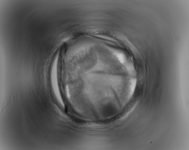 X0000086940585200705141804