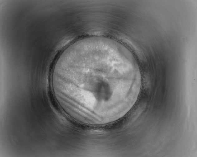 X0000086940586200705141804