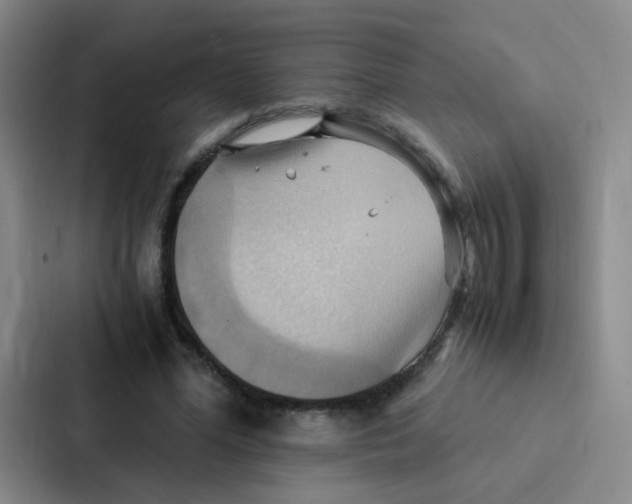 X0000086940588200705141804